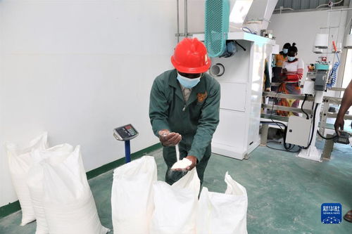 中國援建贊比亞玉米粉加工廠項目交付