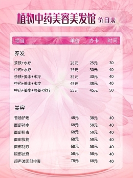 美容項目單美容項目單模板圖片在線制作